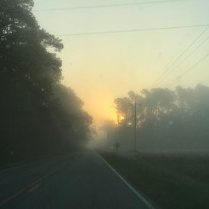 Meet your Posher, Dee